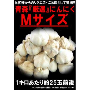 にんにく 青森 1kg 訳あり Mサイズ厳選 ...の詳細画像2
