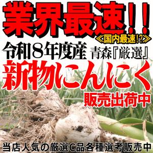 クーポンで10%引き【新物】にんにく 青森 1...の詳細画像2