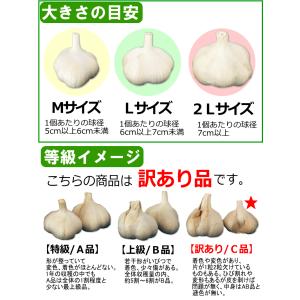 にんにく 青森 1kg 訳あり Mサイズ以上大...の詳細画像4