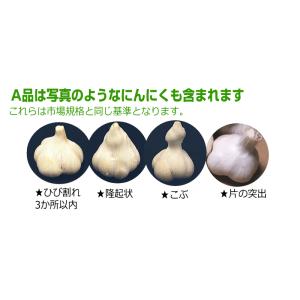 にんにく 青森 1kg Lサイズ厳選 A品 5...の詳細画像5