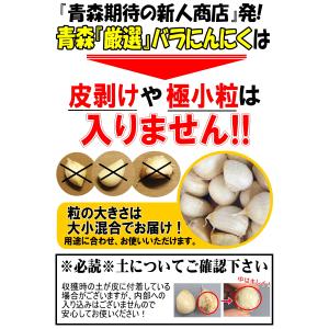 新物!にんにく 青森 1kg+30g増量中!大...の詳細画像5