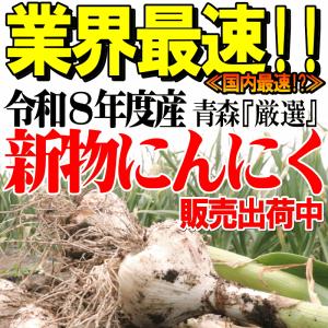 新物!にんにく 青森 バラ 400g 福地ホワ...の詳細画像2