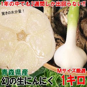 【即日出荷】にんにく 青森 1kg 幻の生にんにく Mサイズ厳選 約12玉〜23玉 国産 新物 幻の生にんにく 国産 最高級 ブランドニンニク