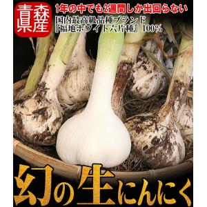 【即日出荷】にんにく 青森 1kg 幻の生にん...の詳細画像1