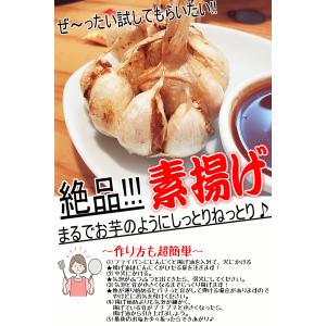 【即日出荷】にんにく 青森 1kg 幻の生にん...の詳細画像5