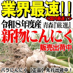 新物!にんにく 青森 500g+20g増量中!...の詳細画像2
