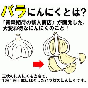 大粒も混合 にんにく 青森 500g+20g増...の詳細画像4