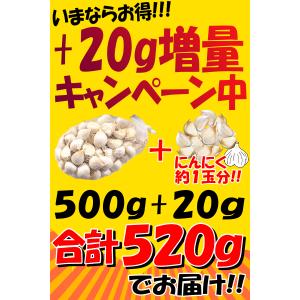 大粒も混合 にんにく 青森 500g+20g増...の詳細画像3