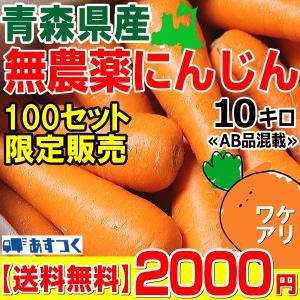 にんじん 10kg 無農薬栽培 調理加工用あすつく 無農薬 ニンジン 10キロ 料理 加工用に最適