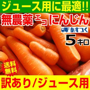 あすつく 人参ジュースに最適 無農薬にんじん 5kg 加工/ジュース用 訳あり 無農薬人参 5kg 【クール便対応】エコにんじん