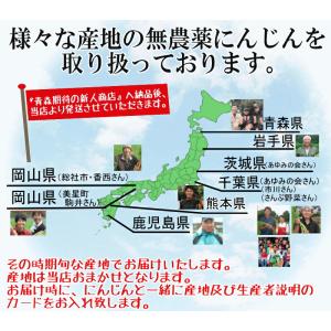 あすつく 人参ジュースに最適 無農薬にんじん ...の詳細画像4