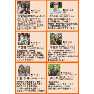 あすつく 人参ジュースに最適 無農薬にんじん ...の詳細画像5