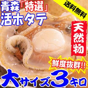 ホタテ 天然 大3kg 送料無料 貝柱が美味 殻付き 約15枚〜19枚 青森県陸奥湾産 特選活ほたて のし対応 お歳暮