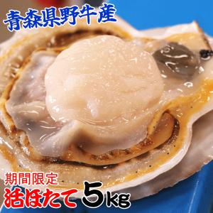 青森 野牛 ホタテ 殻付き 活ほたて 大サイズ5キロ 送料無料 青森 貝柱が美味 ほたて 5kg（約20枚-25枚）