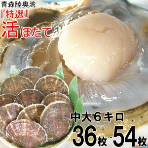 8/11(月)まで!! 青森 ホタテ 刺身 殻付き 6kg 活ほたて 中大サイズ 約36枚〜54枚 貝柱が美味 ほたて 1kgあたり6枚〜9枚