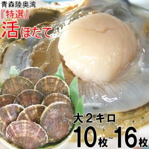 禁輸に負けない!! 500円引き★青森 ホタテ 殻付き 活ほたて 大サイズ2キロ 送料無料 青森 陸...