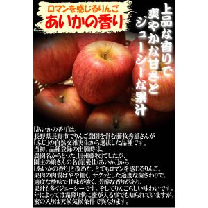 クーポンで10%引き!青森 りんご 3kg箱 ...の詳細画像2