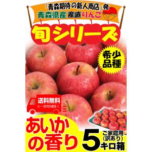 クーポンで10%引き!青森 りんご 5kg箱 ...の詳細画像1