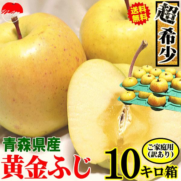青森 りんご 10kg箱 黄金ふじ 訳あり/家庭用 送料無料 リンゴ 訳あり 10キロ箱★黄金ふじ ...