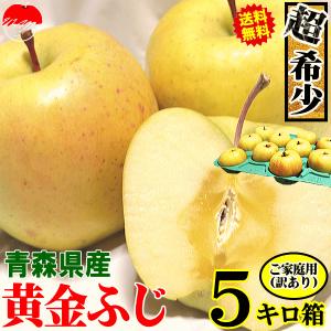 あすつく 青森 りんご 5kg箱 黄金ふじ 訳あり/家庭用 送料無料 リンゴ 訳あり 5キロ箱★黄金ふじ 家訳 5kg箱