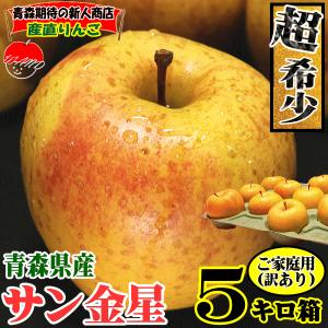 クーポンで400円引き！青森 りんご 5kg箱 サン金星 家庭用/訳あり 送料無料 リンゴ 5キロ箱★サン金星 家訳 5kg箱