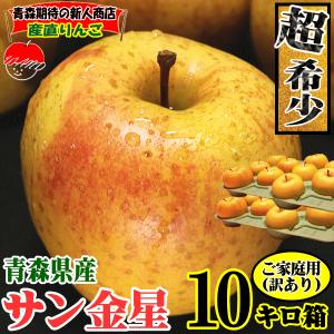 クーポンで500円引き！青森 りんご 10kg箱 サン金星 家庭用/訳あり 送料無料 リンゴ 10キロ箱★サン金星 家訳 10kg箱