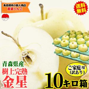 今年もありがとう6880円⇒4980円！青森 りんご 10kg箱 金星 有袋 家庭用/訳あり クール便送料無料 リンゴ 10キロ箱★有袋金星 家訳 10kg箱
