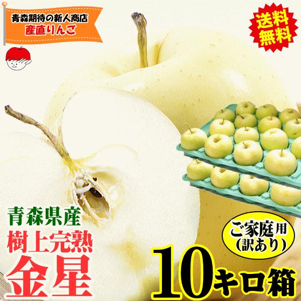 クーポン3%引き！青森 りんご 10kg箱 金星 有袋 家庭用/訳あり クール便送料無料 リンゴ 1...