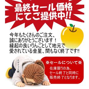 セール3780円!更に10%引きクーポン★青森...の詳細画像3