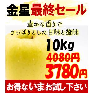 セール3780円!更に10%引きクーポン★青森...の詳細画像2
