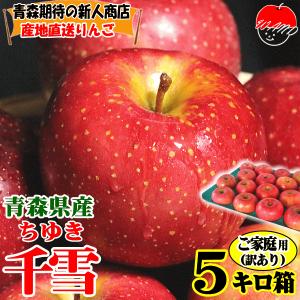 最終3680円⇒3480円！即日発送！青森 りんご 5kg箱 超レアな千雪 ちゆき ご家庭用/訳あり 送料無料 青森 リンゴ 5キロ箱★千雪 家訳 5kg箱