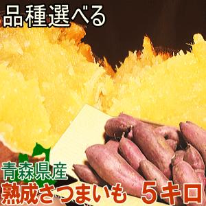 さつまいも 5kg 訳あり 紅はるか シルクスイート 選べます！青森県産 完熟サツマイモ 5kg 栽培期間中/無農薬/無化学肥料 送料無料｜world-wand