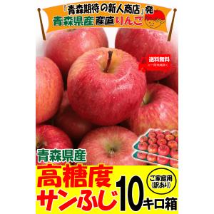 りんご 10kg箱 家庭用/訳あり 青森 リン...の詳細画像1