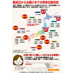 クーポンで10%引き!即日発送!りんご 10k...の詳細画像5