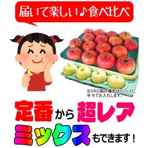 クーポン10%引き!即日発送!りんご 5kg箱...の詳細画像3