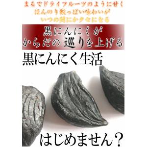 黒ニンニク 100g お試し 訳あり/B品 送...の詳細画像2