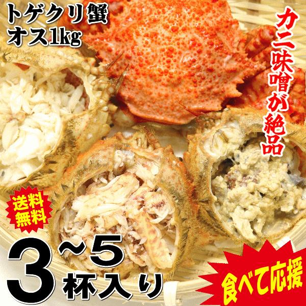 食べて応援！かに 1kg カニ 蟹 格安 青森の毛蟹 トゲクリガニ オス 送料無料 約3杯〜5杯 カ...