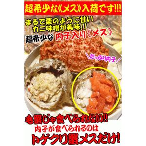 最安4180円で購入可!かに 格安 青森の毛蟹...の詳細画像1