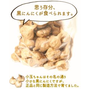 黒ニンニク 小玉ちゃん 500g A品/正品 ...の詳細画像3