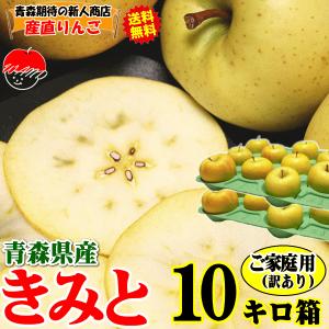 クーポン10%引き！青森 りんご 10kg箱 きみと クール便送料無料 家庭用/訳あり 青森 リンゴ 訳あり 10キロ箱★きみと 家訳 10kg箱