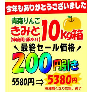 クーポンで10%引き+更に200円引き!即日発...の詳細画像2