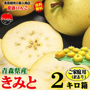 青森 りんご 2kg箱 きみと 送料無料 家庭用/訳あり 青森 リンゴ 訳あり 2キロ箱★きみと 家訳 2kg箱