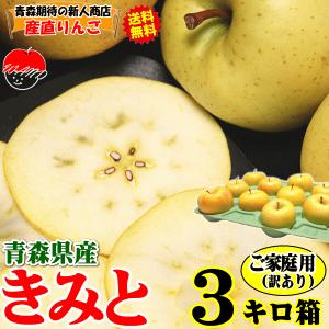 青森 りんご 3kg箱 きみと 送料無料 家庭用/訳あり 青森 リンゴ 訳あり 3キロ箱★きみと 家訳 3kg箱