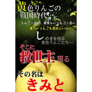 クーポンで10%引き!即日発送 青森 りんご ...の詳細画像5