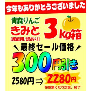 クーポンで10%引き!即日発送 青森 りんご ...の詳細画像2