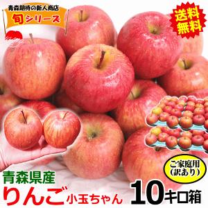 無農薬りんご「紅玉」9Kg〜10kg 約36〜50個前後 親子2代無農薬栽培