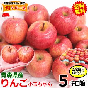 否バラ詰め【B級品・王林・20kg（20キロ）用 木箱 サイズ ダンボール