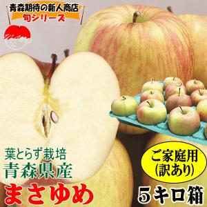 りんご 5kg箱 青森 まさゆめ 訳あり/家庭用 送料無料 りんご 5キロ箱★まさゆめ 家訳 5kg箱