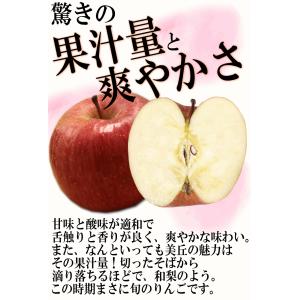 クーポンで10%引き!青森 りんご 10kg箱...の詳細画像2