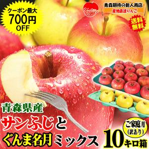 クーポン最大700円引き りんご 10kg箱 サンふじとぐんま名月のミックス 青森 リンゴ 家庭用/訳あり【送料無料】★ふじ名月ミックス 家訳 10kg箱